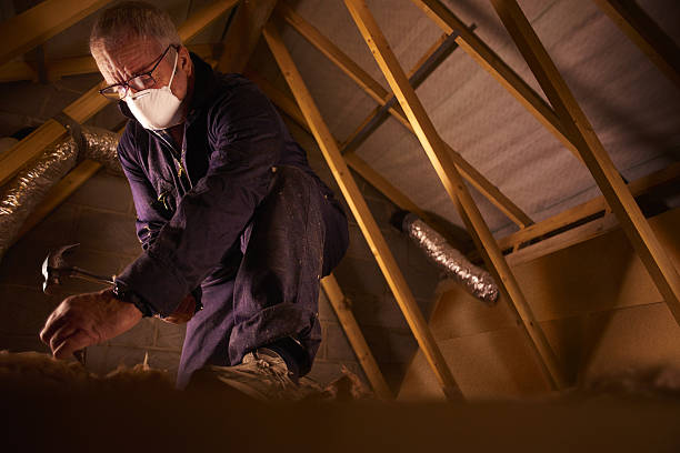 Best Insulation for Specific Applications in Lawton, IA