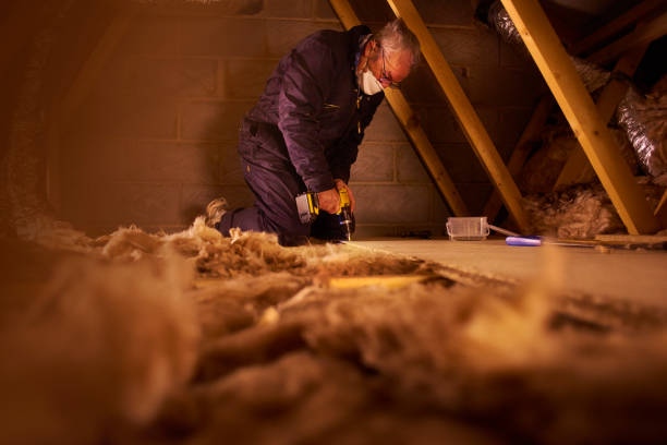 Best Insulation Installation Services in Lawton, IA